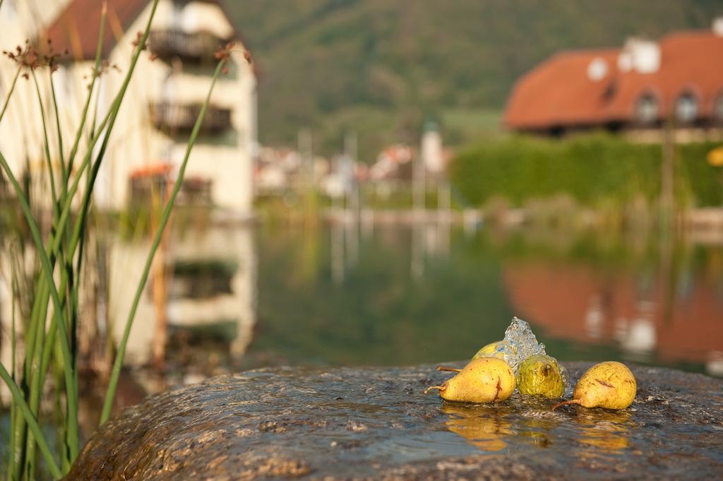 Romantikhotel Residenz Wachau Aggsbach Bagian luar foto